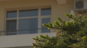 Улицу Интернациональную ждёт масштабная реконструкция