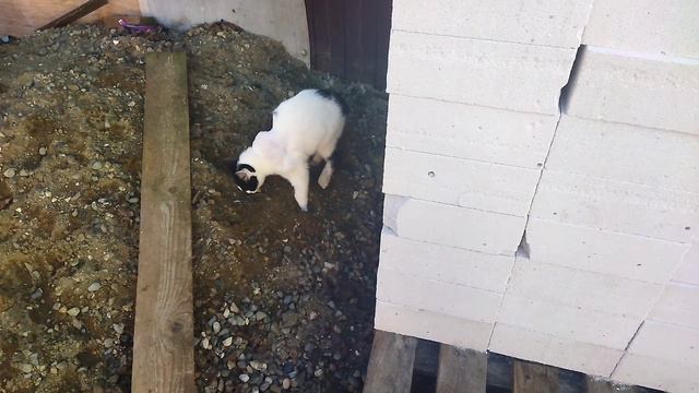 Ещё один рывок 🙏день стольника смотреть онлайн