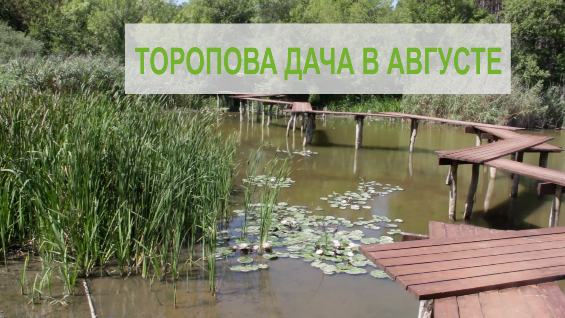 Торопова дача - открытая для посещения зона отдыха заказника 