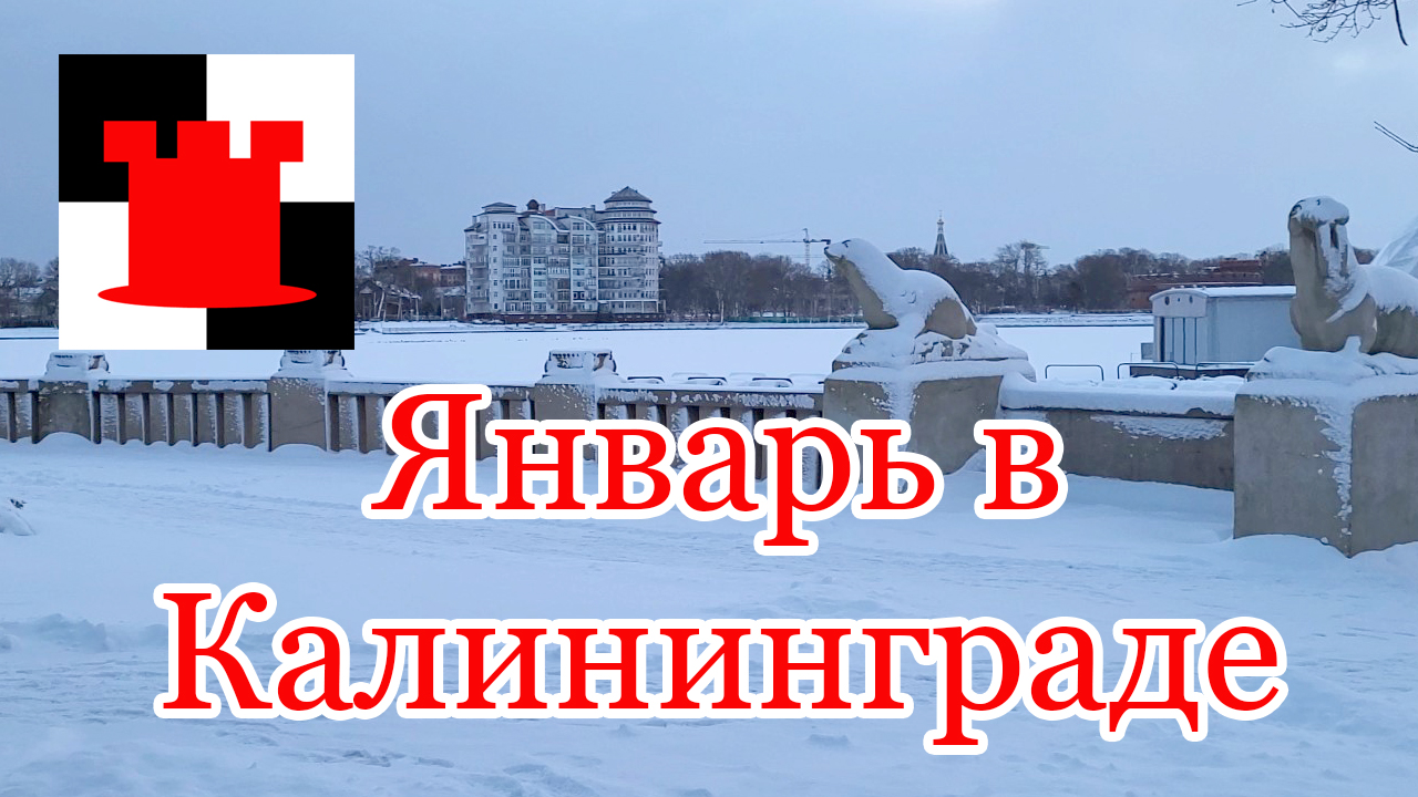 Январская погода в Калининграде. 16 января 2024 года. Верхнее озеро