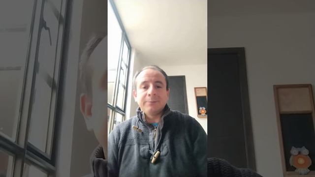 redes y asociaciones empresariales смотреть онлайн