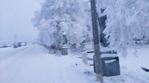 Печенга мурманская обл