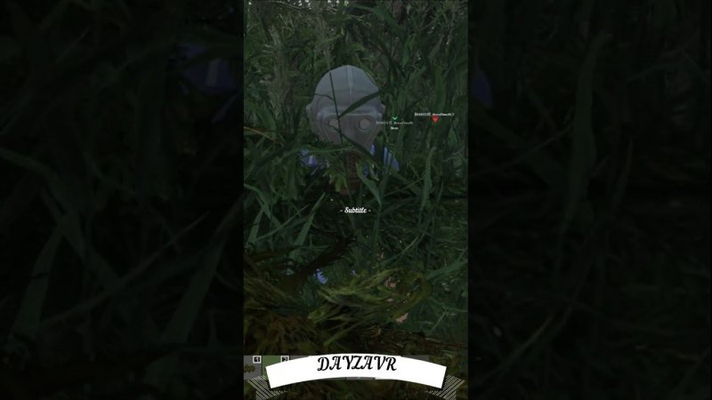 DayZ -   КОЛЛЕКТОРЫ В DayZavr ))) #shorts   #пиратка  #скачать #DayZavr #DayZ #freetoplay   #dayzpvp