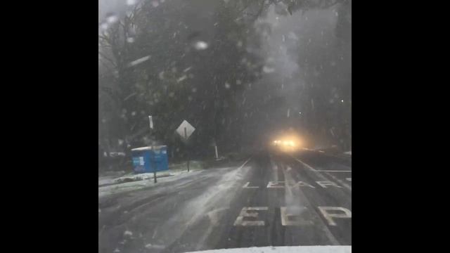 Snow in the Dandenong Ranges смотреть онлайн