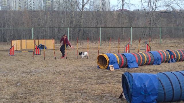 Вика и папильон Йоко дж 18.04.2021 смотреть онлайн