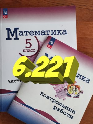 математика 5 класс номер 6.221