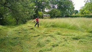 Stihl FS 350 в роботі. Заготовка сіна