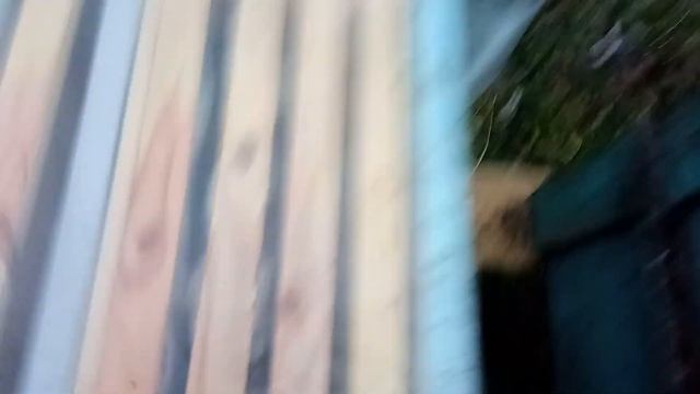 Дачная пасека #49 Крайний осмотр злых среднерусских пчел в ноябре перед зимовкой Вологодская област смотреть онлайн