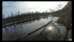 Рыбалка на фидер. Река Угра Калужская область, октябрь 2019