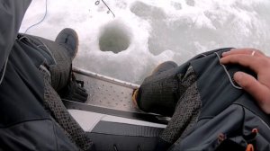 Ловля налима на Онеге. 2019 март