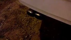 Выхлоп Fox 05.11.2017