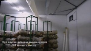 Оборудование для грибоводства. Климатическая камера - Климодулятор.