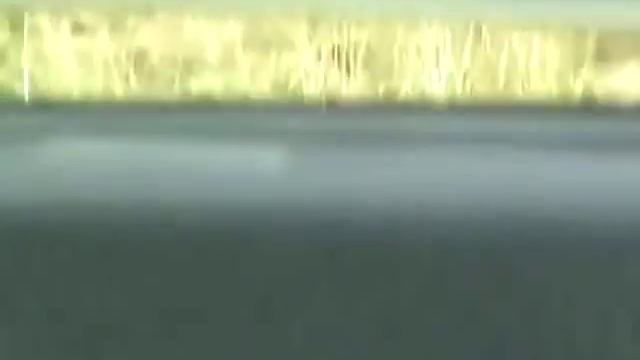 elephant shlong fb смотреть онлайн