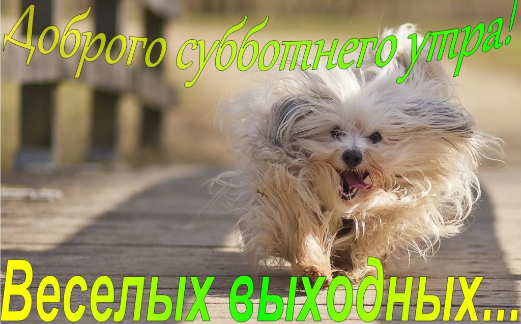 Суббота! Доброе Утро и Хорошего Дня Субботы!
