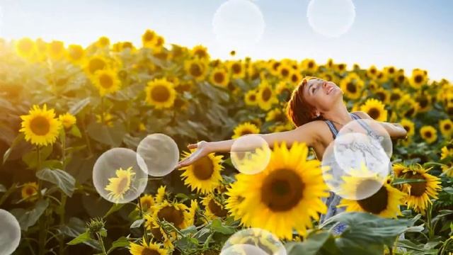 ФУТАЖ - МОРЕ ВОЗДУШНЫХ ШАРОВ смотреть онлайн