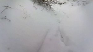 Восхождение на гору Ёжик Александра Мороза во время стрима 23.01.2022