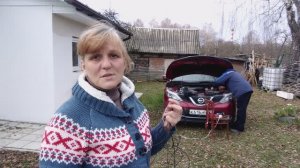 Поломка Ниссана помогла укрыть розы на зиму