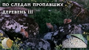 По следам пропавших деревень 3#. В поисках монет и кладов.