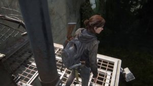 Прохождение The Last of Us 2: Глава 8: Все находки и секреты.