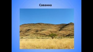 35. Сфера жизни