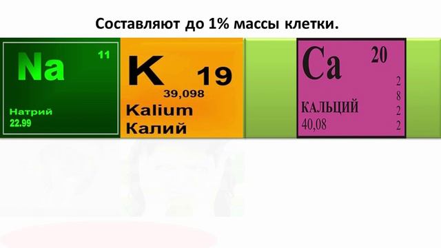 06. Химический состав клетки