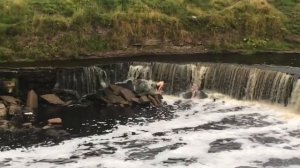 Саблино,Тосненский водопады, красивая природа и очень хорошие люди!