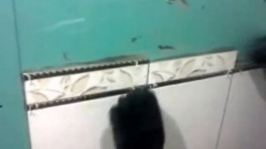 Укладка фризы и карандашей на плитке