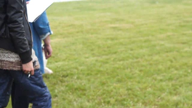 13 мая Звёзды Днепра открытый класс папильон смотреть онлайн