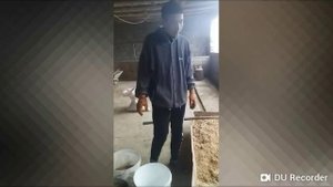 Жылқыға қалай жем береміз,Как откормить лошадей