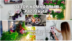 ОТ ЭТИХ ЦВЕТОВ БАЛКОН БУДЕТ В ВОСТОРГЕ/ Цветы на балконе в ящиках и горшках летом. Cад своими руками