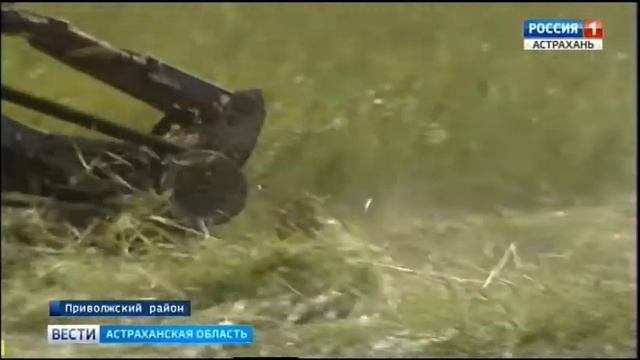 В Астраханской области началась заготовка кормов смотреть онлайн