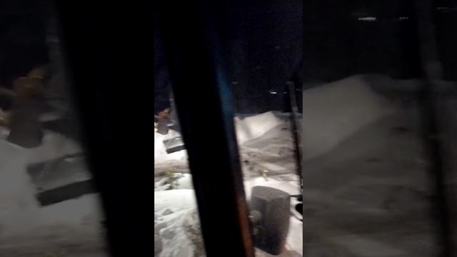 YouCut_20231219_205819353.mp4