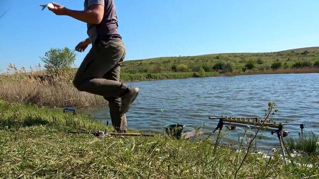ОХОТИЛИСЬ ЗА ТОЛСТОЛОБОМ !!! РЫБАЛКА В КРЫМУ. !!!