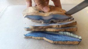 Гиропор берёзовый синеющий (Gyroporus cyanescens) - ищем, рассматриваем, жарим, пробуем