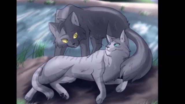 Коты воители Крутобок и Серебрянка / клип Outside.