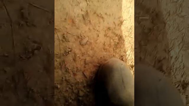 Обзор луаза 969 смотреть онлайн