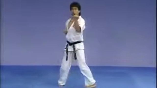 Каратэ Киокушинкай Ката Гекисай Дай Kyokushin Karate Kata Gekisai Dai смотреть онлайн