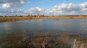 Живец.Ловля живца. Как поймать живца / Как наловить живца быстро.Как поймать живца на паук