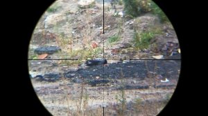 Охота на Ворону Slow Crow Hunting 2021 - Epic Replays 240 FPS - Jack Hunter.