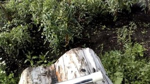 Продолжаю ремонт пресса прп-1,6 обрезаю гидроцилиндры.