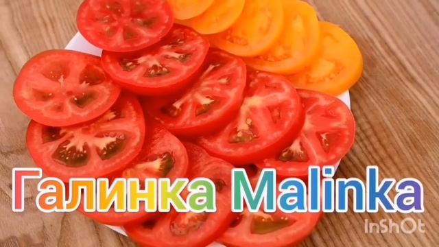 Ольга Уралочка live /Истерика после штрафа /Обзор Влогов /Уралочка и Сафар /