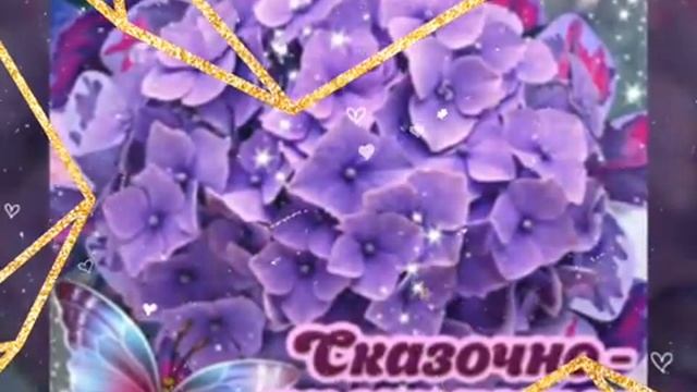 видео пожелания спокойной ночи и сладких снов :) смотреть онлайн