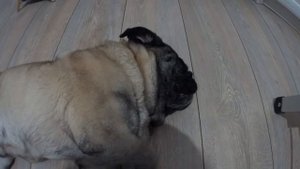 415 база ответьте