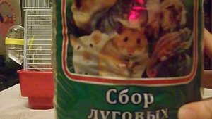 Уход за джунгарским хомяком и что для него нужно))