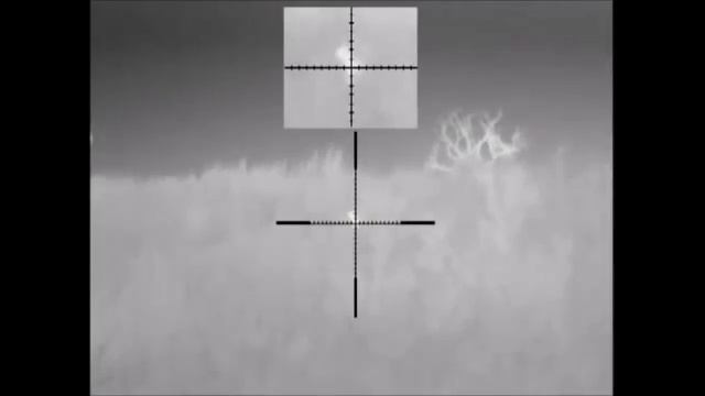 Взорвал кролика! Тепловизор Pulsar Apex XD75! смотреть онлайн