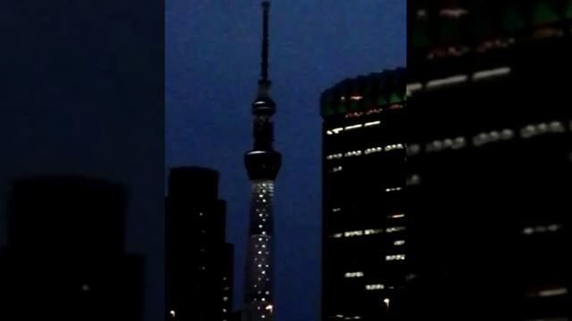 Tokyo Sky Tree - tallest tower in the world