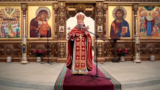 Неделя о слепом. 29.05.22