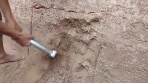 Primitive Technology: Building a house in the forest