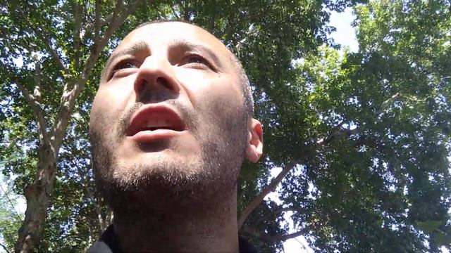 О Согдиана, твои глаза чисты и нежны как бирюза... смотреть онлайн