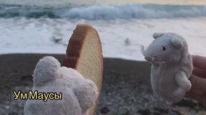 Мышуни на пляже! 🏖️ Что за странная чайка встретилась Толстуне и  Ближе к Худыше? 😲